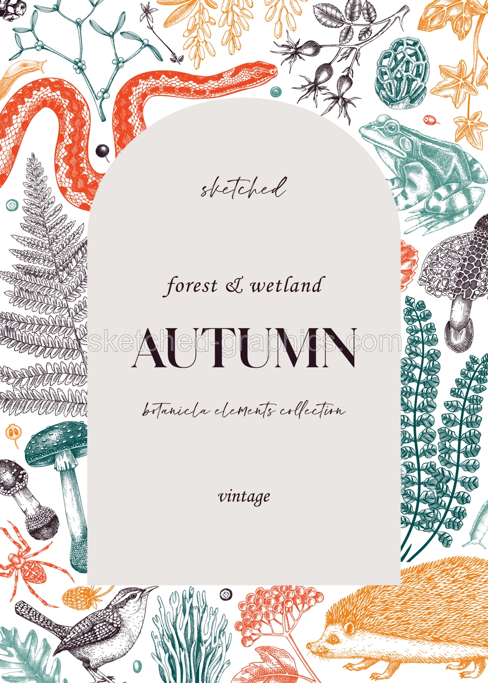 Autumn Forest Frame Illustration